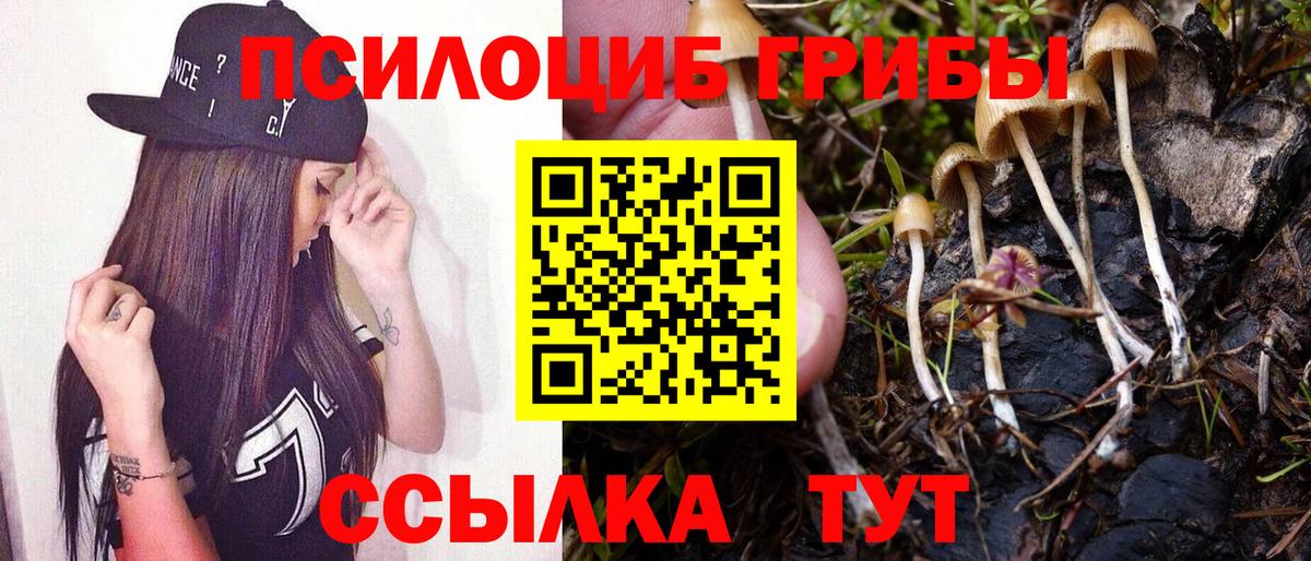 Галлюциногенные грибы прущие грибы Алейск